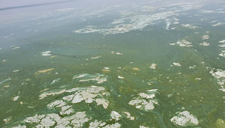 Հատվածականություն ու կիսատ-պռատություն. «Փաստ»