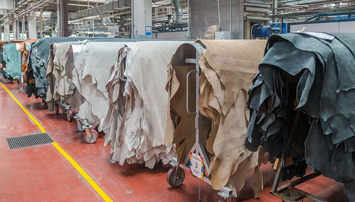 Կառավարությունը 6 ամսով արգելեց անմշակ կաշվի արտահանումը Հայաստանից