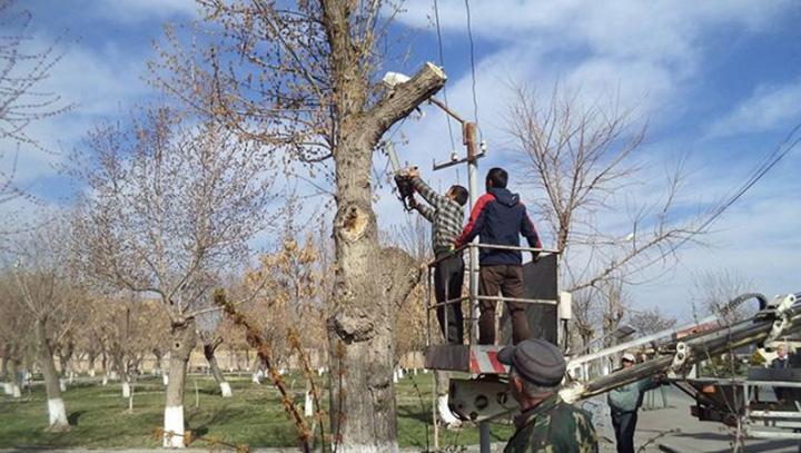 Ծառեր են էտում․ մի շարք փողոցներ փակ կլինեն