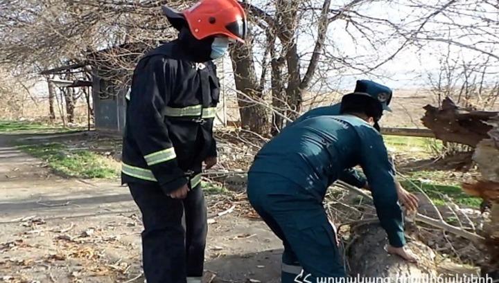 Շիրակի փողոցում ծառն ընկել և մասամբ փակել է ճանապարհի երթևեկելի հատվածը