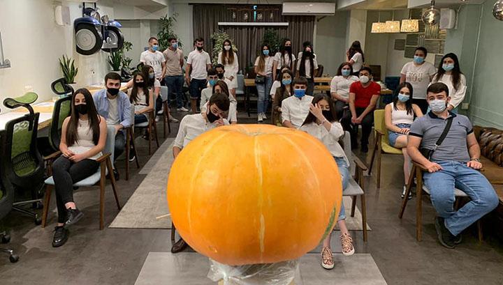 Հանդիպում՝ դդումի հետ․ ԲՈՒՀ չընդունված դիմորդների ակցիան