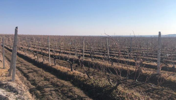 Ադրբեջանցիները մտել են Արցախի Խրամորթ գյուղ՝ պահանջելով, որ գյուղացիք այգի չմտնեն. Արթուր Խաչատրյան