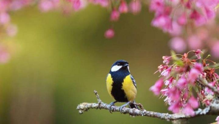 Ջերմաստիճանը կնվազի 10-13 աստիճանով