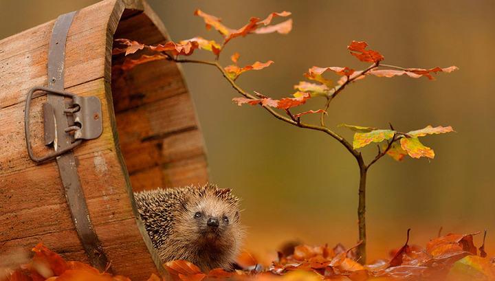 Սպասվում է առանց տեղումների եղանակ