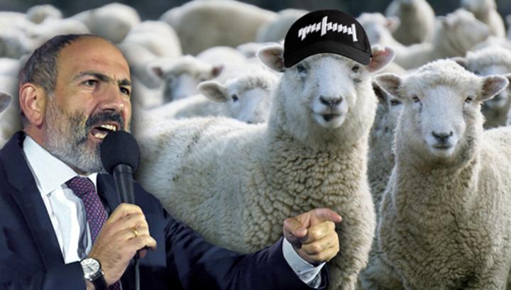 Նիկոլազոմբիների համար նախատեսված քարոզչաթեզեր