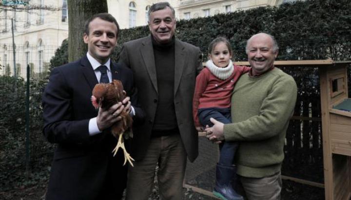 Ֆրանսիայի նախագահը հավեր կպահի