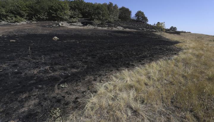 Հրդեհ «Դիլիջան» ազգային պարկում