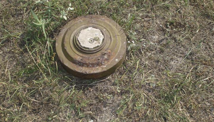 Հակատանկային արկը՝ այգում