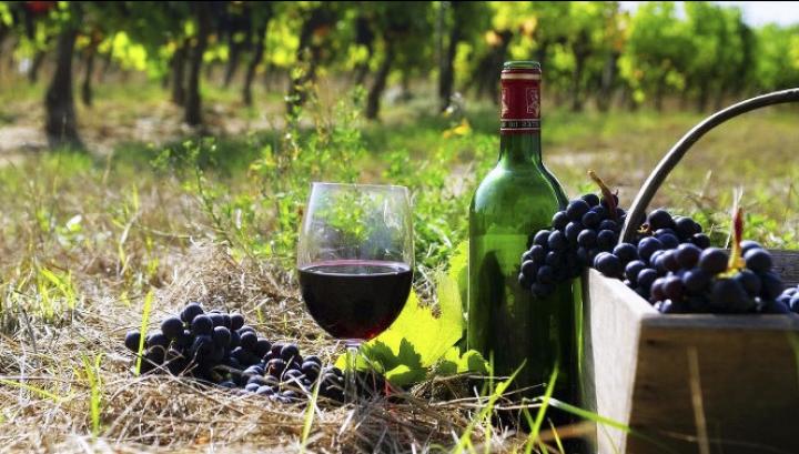 Մայրաքաղաքում երկօրյա ակտիվ միջոցառումներ են սպասվում