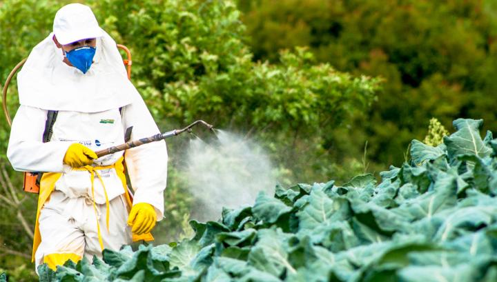 Մեկ ամսում թունաքիմիկատներով թունավորման 36 դեպք է գրանցվել. Ո՞րն է պատճառը