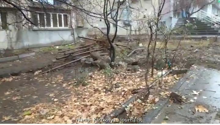 Այստեղով Ավինյանենք են անցել.  Նարինե Կիրակոսյան