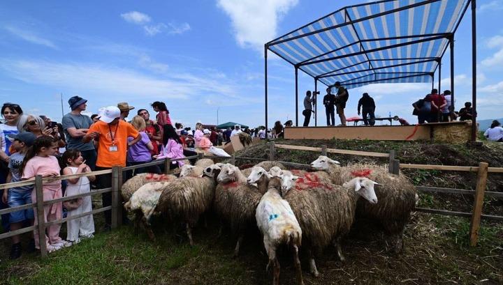 Քերոբյանը մասնակցել է «Ոչխարների խուզման» փառատոնին