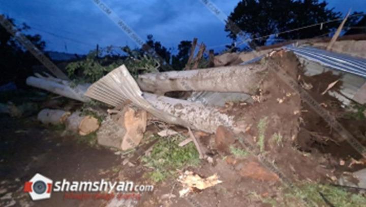 Պտտահողմը արմատախիլ է արել հաստաբուն ծառեր, փլուզել քարե պարիսպներ, պոկել տան տանիքներ, տապալել էլեկտրասյուներ