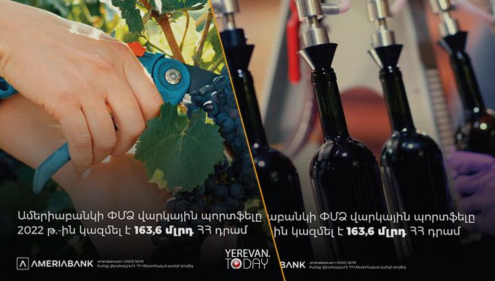 Ամերիաբանկի ՓՄՁ վարկային պորտֆելը hինգ տարում գրանցել է կրկնակի աճ