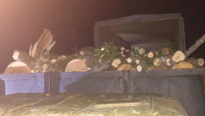 Փայտանյութի ապօրինի տեղափոխման հայտնաբերման նպատակով ստեղծված ոստիկանական հենակետերում կոռուպցիոն ռիսկեր կան