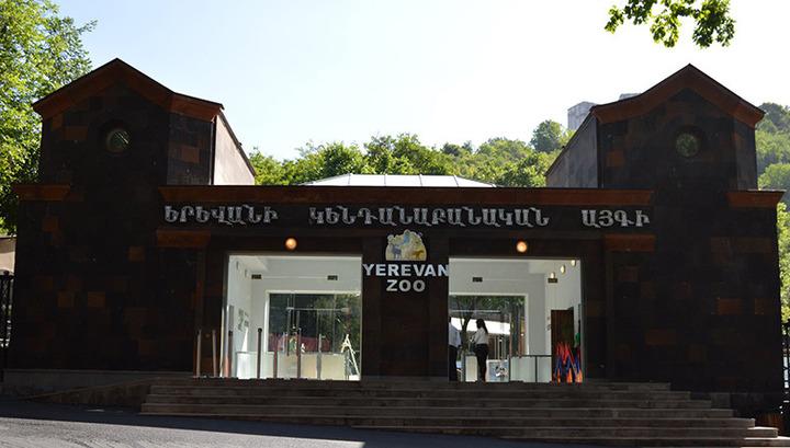 Կենդանաբանական այգում լայնածավալ ստուգումներ են սպասվում