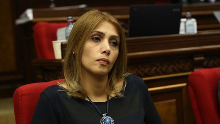 Հայաստանում անհնար է լինելու վաճառել «չորով» բռնագանձնված սեփականությունը. Էլինար Վարդանյան