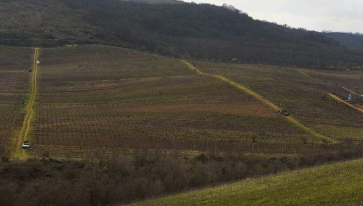 Ադրբեջանցիները կրակ են բացել Արցախի խաղաղ բնակիչների ուղղությամբ