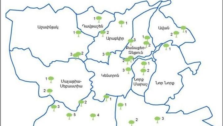 Ծառատունկ կլինի միայն այն վայրերում, որտեղ ոռոգում կա