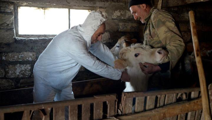 Անասնաբույժները դժգոհում են ցածր աշխատավարձից․ «Ժողովուրդ»