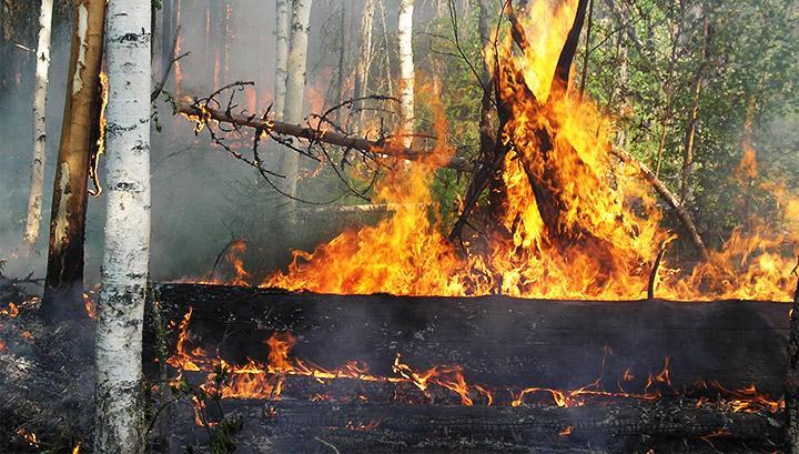 Ինչպե՞ս հրդեհավտանգ իրավիճակ չստեղծել․ ԱԻ խորհուրդները