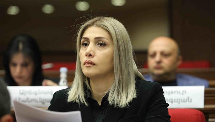 «Իրավական պետության» ռիսկային իրականությունը. Էլինար Վարդանյան