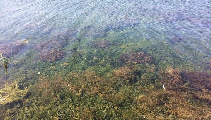 Աղետալի վիճակ՝ իշխանության հանցավոր գործունեության պատճառով․ «Ժամանակ»