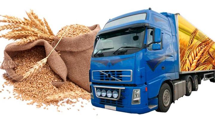 Վրաստանից ցամաքով ցորենի ներկրումը կրկին կարգելվի՞․ «Ժամանակ»