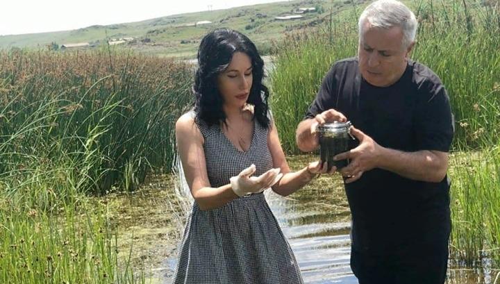 ԲՀԿ-ականները Սևանի ջրիմուռների փորձանմուշը Վրաստան են ուղարկելու