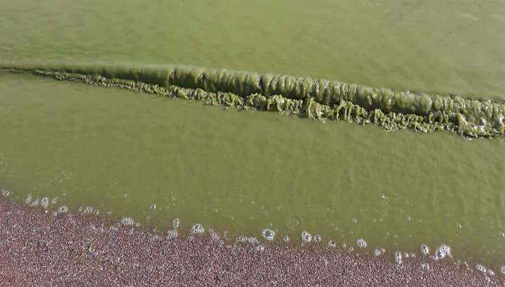 Տնտեսվարողները պահանջում են, որ նախարարները հայտնեն, որ Սևանում լողալը վտանգավոր չէ. Բողոք