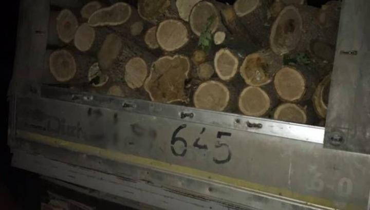 Ապօրինաբար հատված փայտանյութով բեռնված մեքենա է հայտնաբերվել