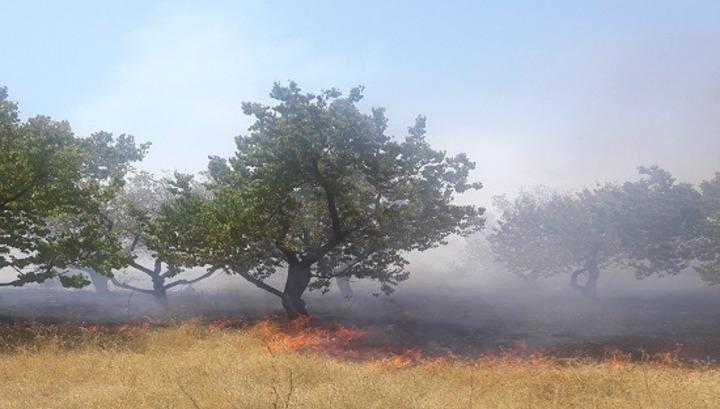 Խոտածածկ տարածքներում 48 հրդեհ է բռնկվել