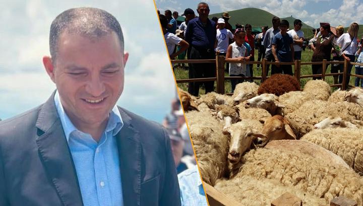 Քերոբյանը պարծեցել էր «ոչխարների խուզման» փառատոնով․ «Հրապարակ»