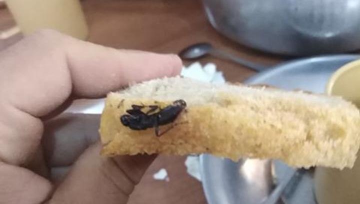 Հացի մեջ միջատ․ինչպես է իրականում Նոր Հայաստանը կերակրում զինվորներին․ Tert.am