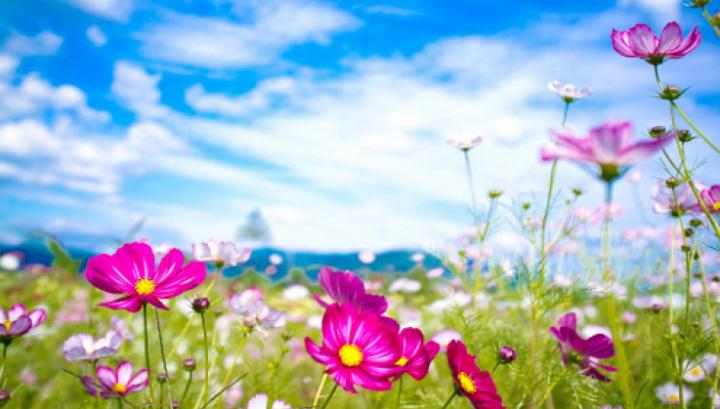 Օդի ջերմաստիճանը կբարձրանա 2-4 աստիճանով