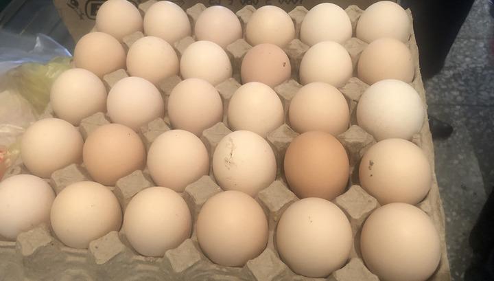 Գյումրիում ոչնչացվել է 495 հավկիթ. ՍԱՏՄ