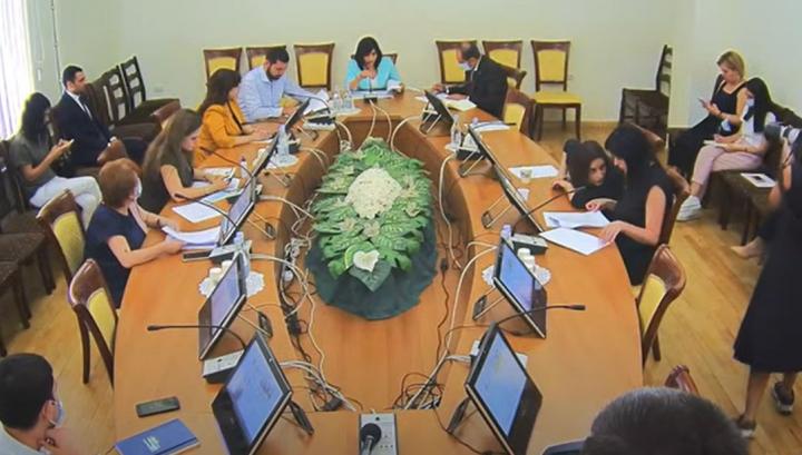 Մարդու իրավունքների պաշտպանության և հանրային հարցերի մշտական հանձնաժողովի առաջին նիստը․ ուղիղ