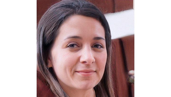 Վարչապետի անհամոզիչ պատասխանը խորացնում է կասկածները. Մարինե Սուքիասյան