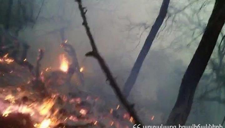 Հրդեհ՝ Իջևանի անտառտնտեսության տարածքում