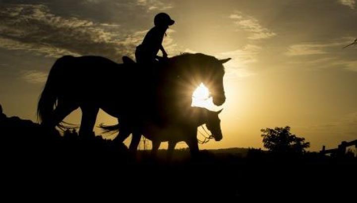 Արցախում ձիավոր է պայթել ականի վրա