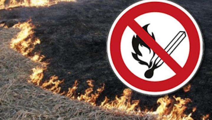 Ուշադրություն. խոզաններն այրելն արգելվում է