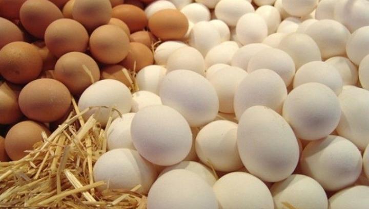 Հայտնաբերել են մոտ 130 000 «ապագայի» մակնշմամբ հավկիթներ. ՍԱՏՄ