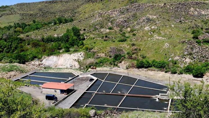 Պտղնի համայնքում ինքնակամ ձկնաբուծական լճեր են հայտնաբերվել