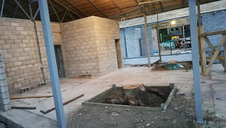 Պարոն քաղաքապետ, սիրո՛ւն չի, մանավանդ հեղափոխությունից հետո. Լալա Մնեյան