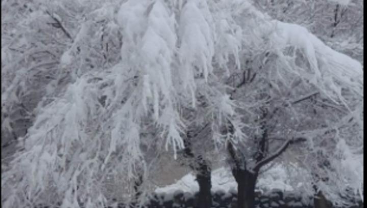 Արագածոտնի մարզում ձյուն է եկել