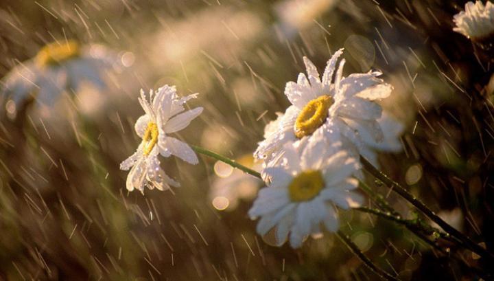 Ի՞նչ եղանակ է սպասվում առաջիկա օրերին