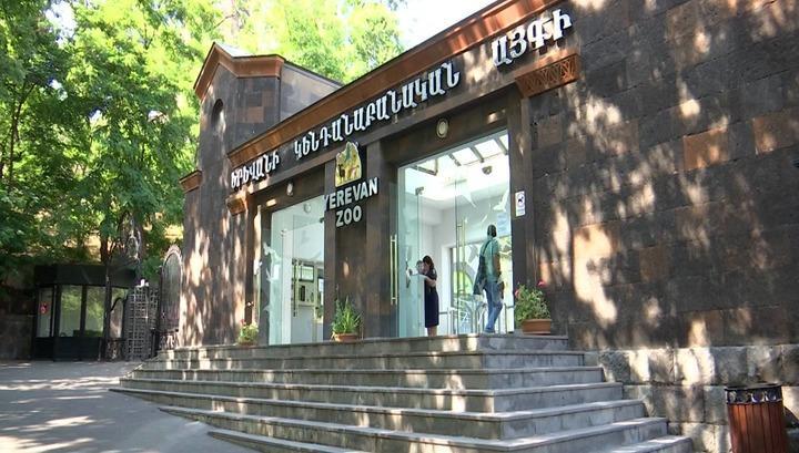 Կենդանաբանական այգու նոր տնօրենն էլ որեւէ կապ չունի ոլորտի հետ․ «Իրավունք»