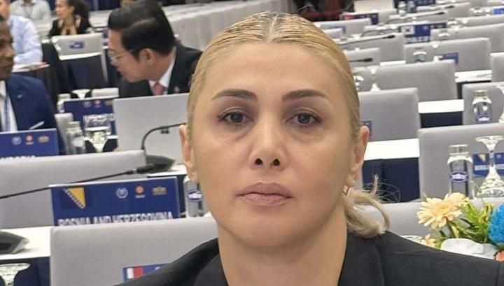 Հանոյում ընթացող համաժողովին խոսել եմ Արցախի շրջափակման մասին․ Էլինար Վարդանյան