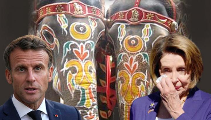 Նիկոլին ի՞նչ կա, ինքը Հայաստանը հանձնելու է ու թռնի․ 7or.am