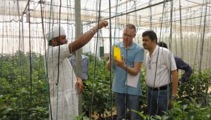 Էժան աշխատուժ․ հնդիկները փորձում են Հայաստանը անցողիկ պետություն դիտարկել․ «Ժողովուրդ»